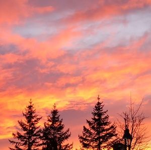 Meet your Posher, Janelle